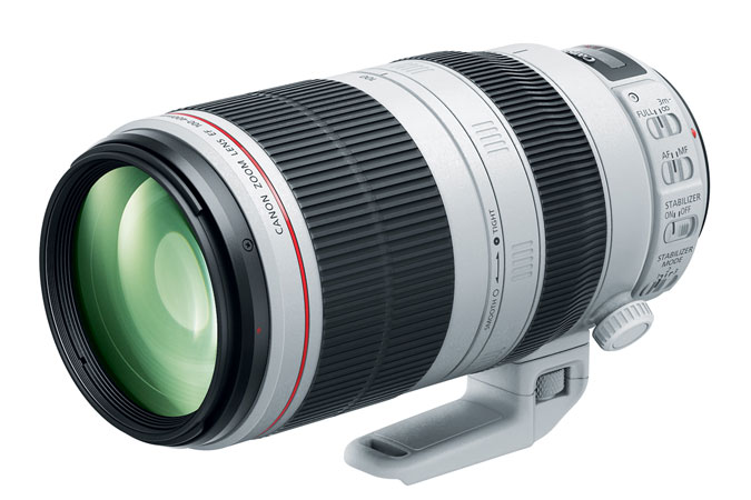 Canon 100-400mm L